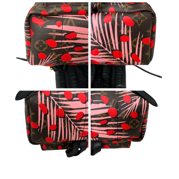 LV MONOGRAM JUNGLE DOTS PALM SPRING LIMITED EDITION PM - Image 8