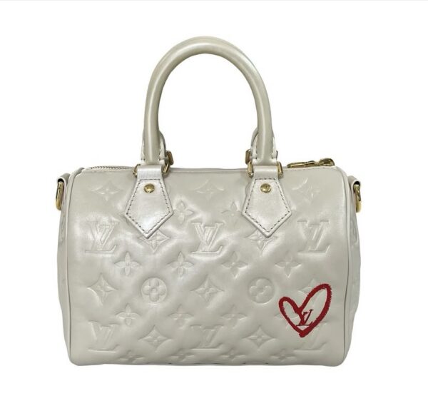 LV EMPREINTE SPEEDY 22 MICROCHIP - Image 9